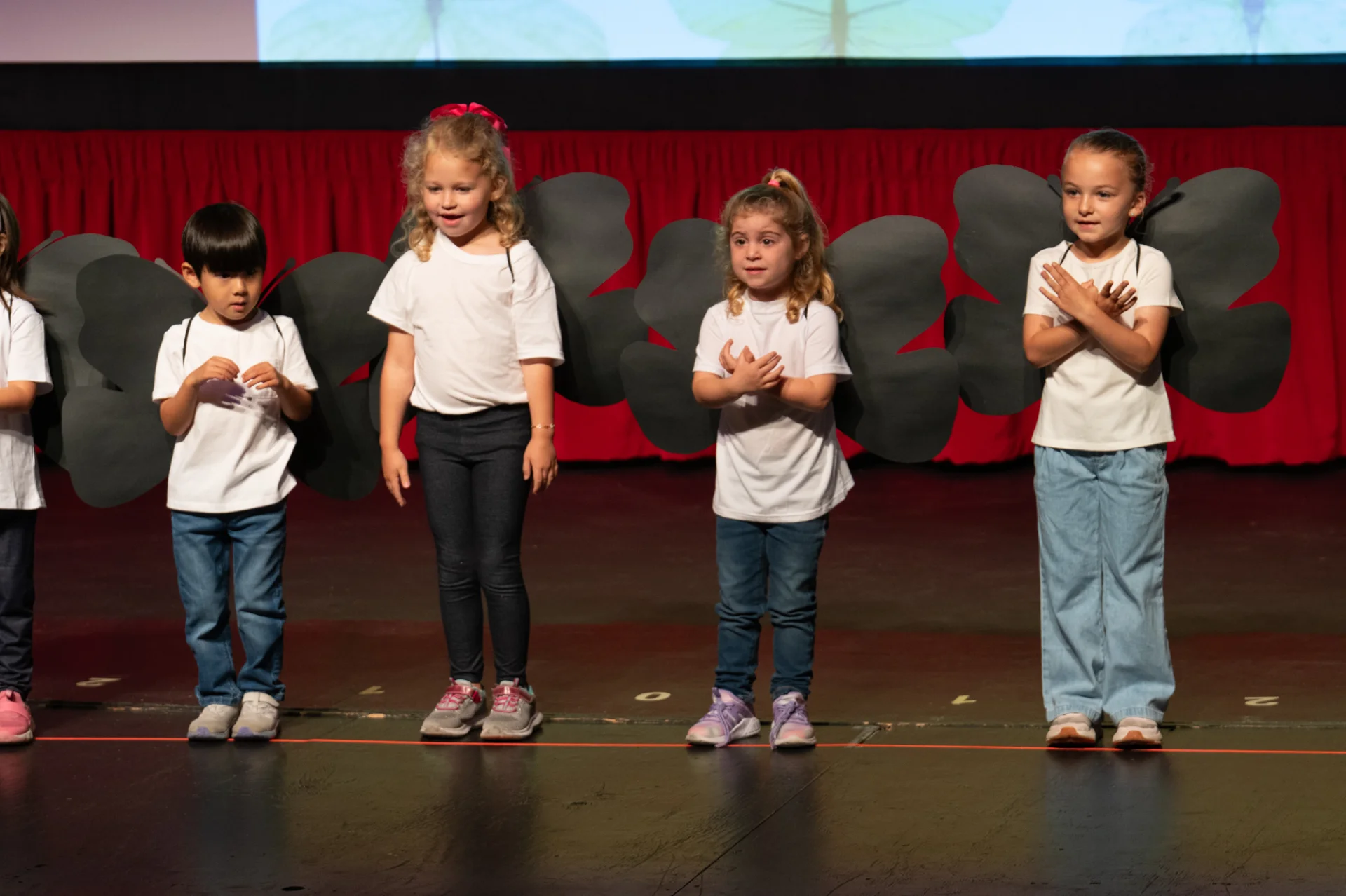 Butterfly 2026 39.webp